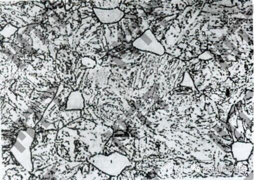 10Cr13，650 ℃回火，组织为回火索氏体＋铁素体