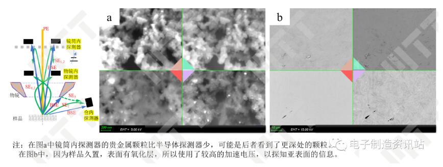 不同探测器在形貌、成分和取向上的表现